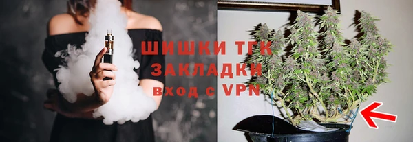 шишки Балабаново