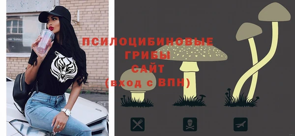 шишки Балабаново
