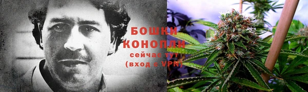 шишки Балабаново